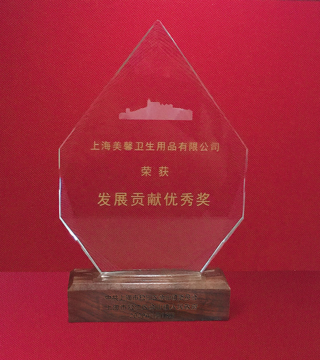 发展贡献奖奖杯.jpg